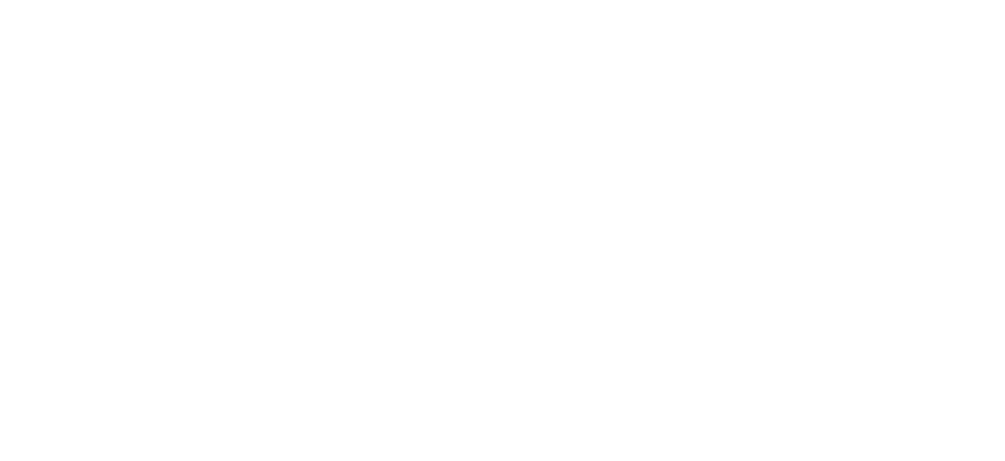 Guerrilla Zinema